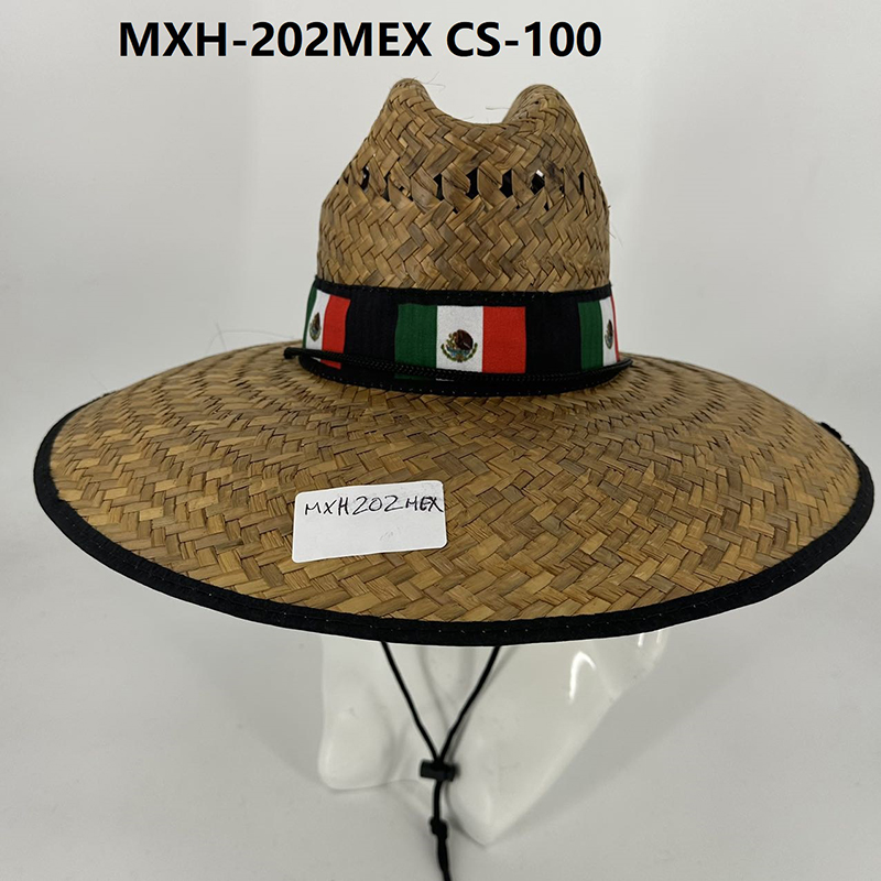 MXH-202MEX CS-100